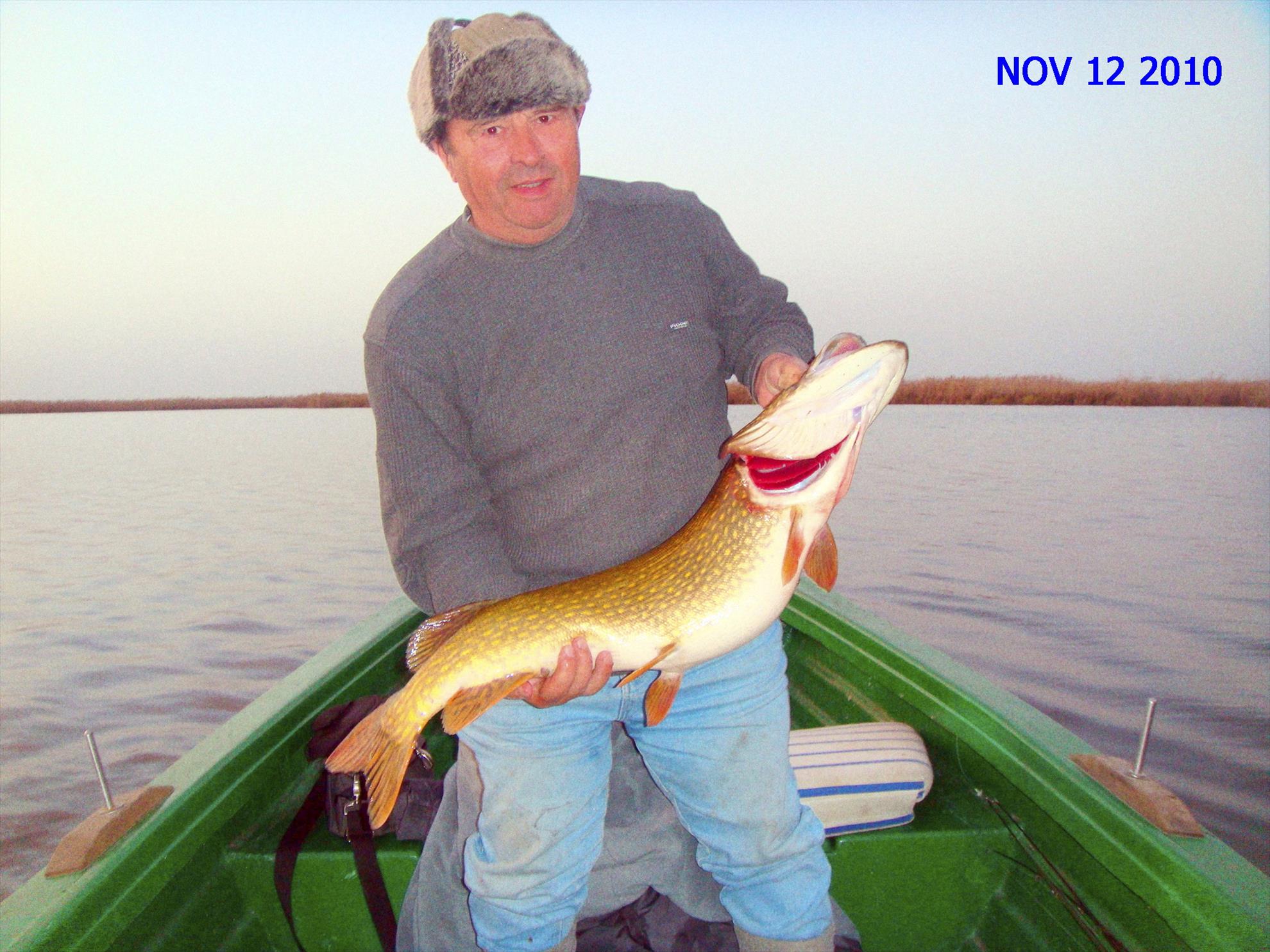 O vizita la niste cumetre...stiuci - dsc04865.JPG